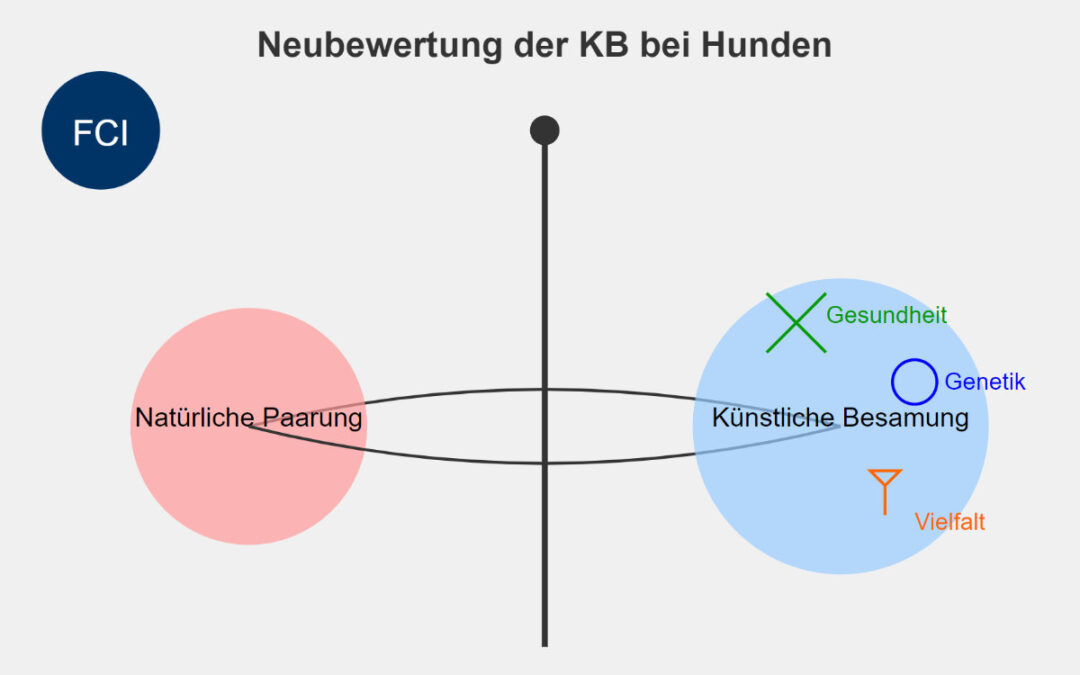 Künstliche Besamung bei Hunden: Zeit für eine Neubewertung der FCI-Bestimmungen